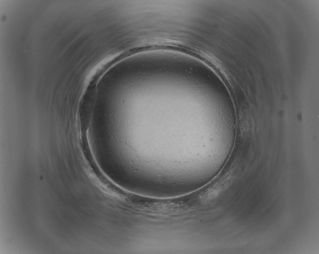 X0000074930987200609081321