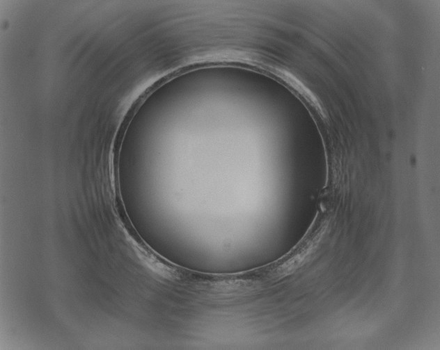 X0000074930988200609081321