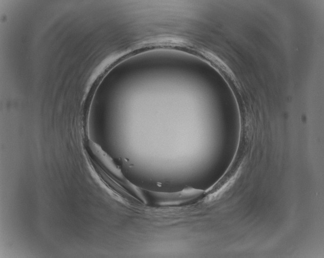 X0000074930989200609081321