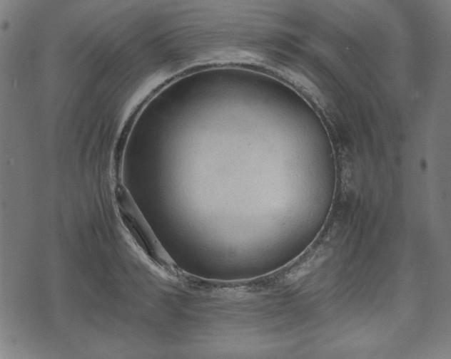 X0000074930990200609081321