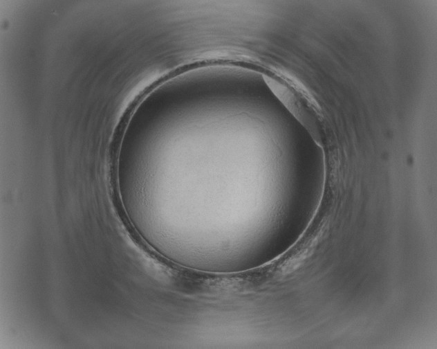 X0000074930991200609081321