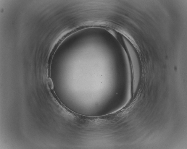 X0000074930992200609081321