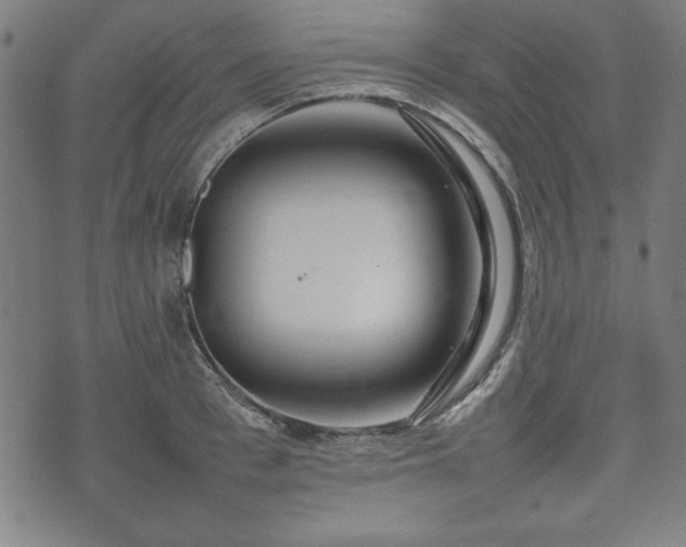 X0000074930993200609081321