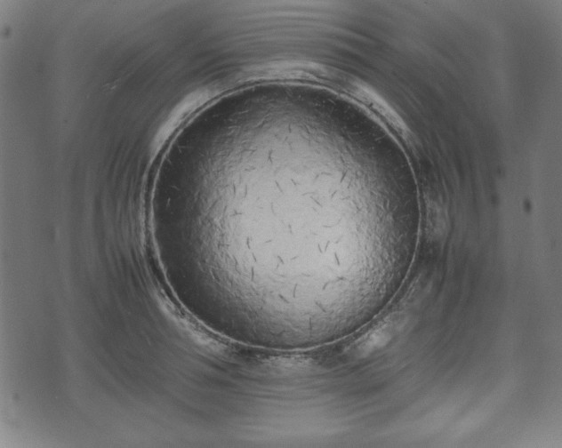 X0000074930994200609081321