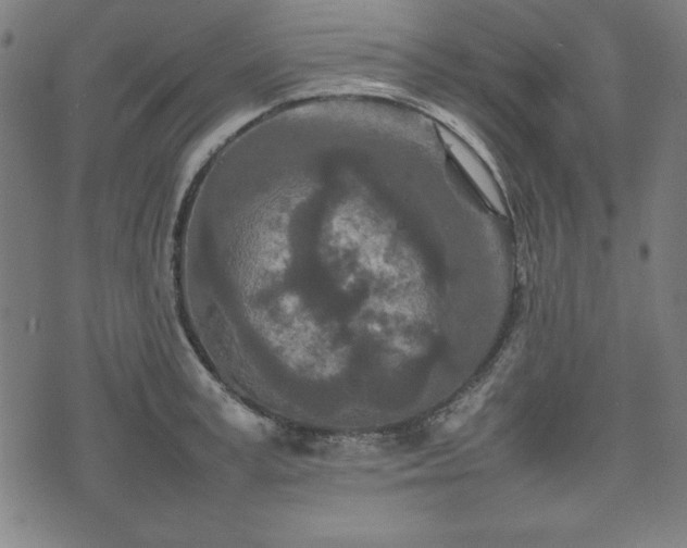 X0000074930995200609081321