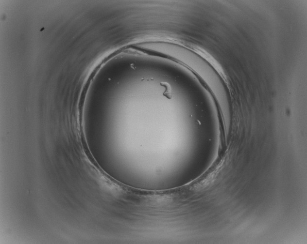 X0000074930996200609081321