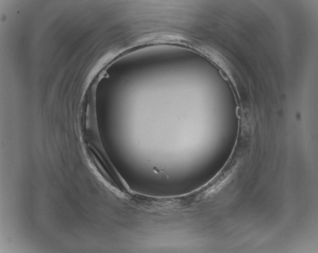 X0000074930997200609081321