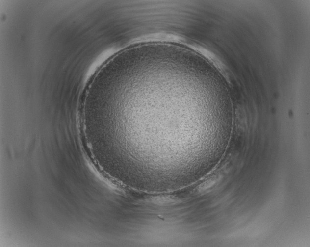 X0000074930998200609081321