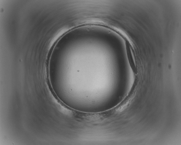 X0000074930999200609081321