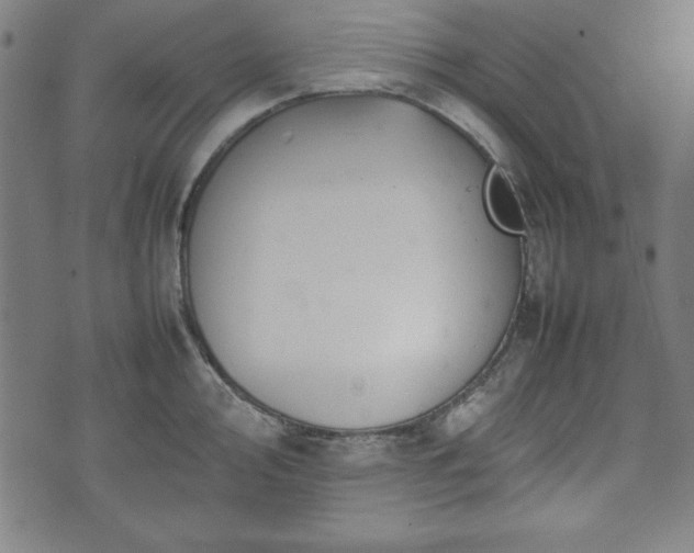 X0000074931000200609081321