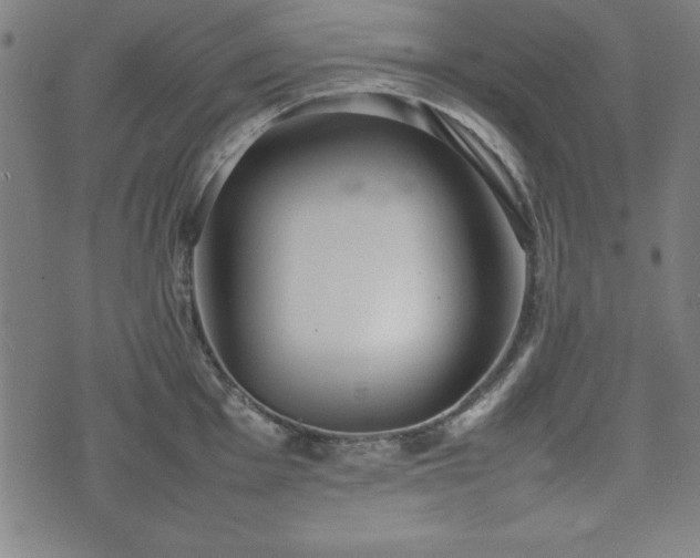 X0000074931001200609081321