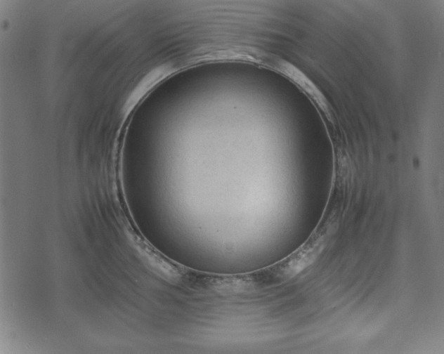 X0000074931002200609081321