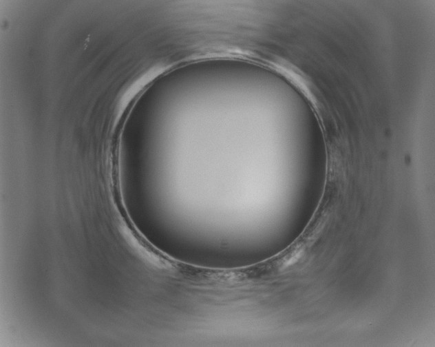 X0000074931003200609081321