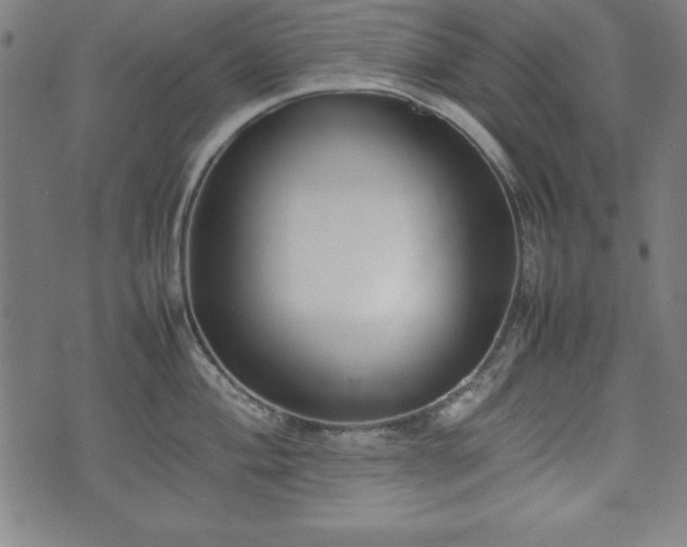 X0000074931004200609081321