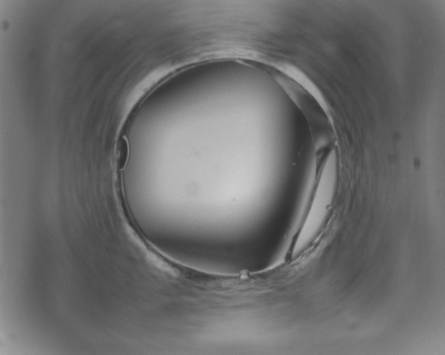 X0000074931005200609081321