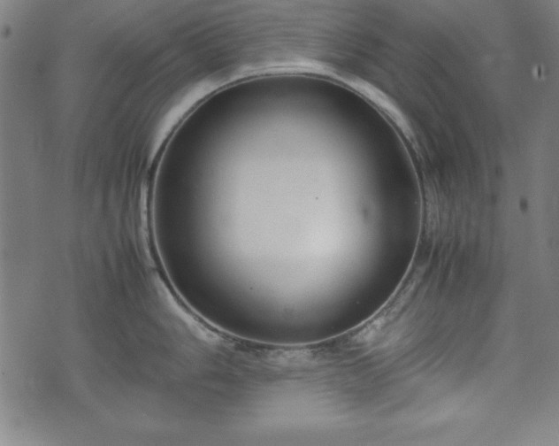 X0000074931006200609081321