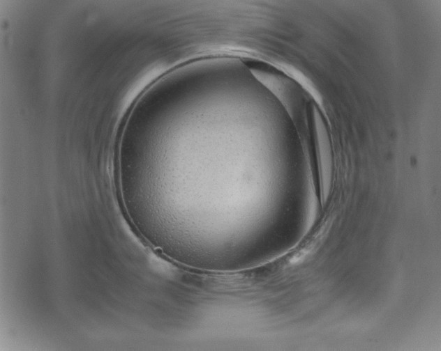 X0000074931007200609081321