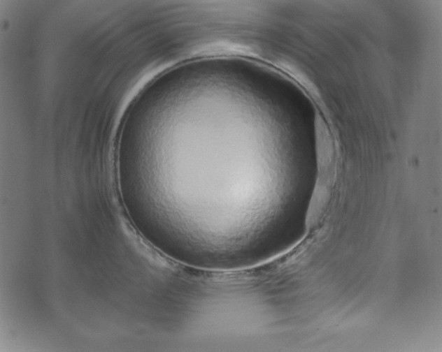 X0000074931008200609081321