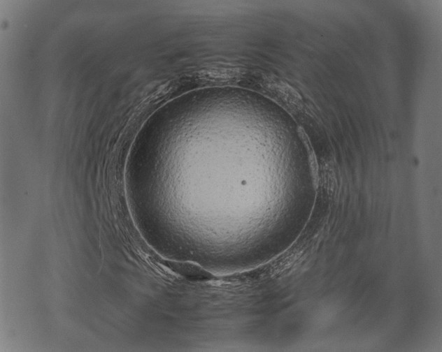 X0000074931009200609081320