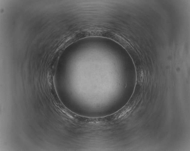 X0000074931010200609081320