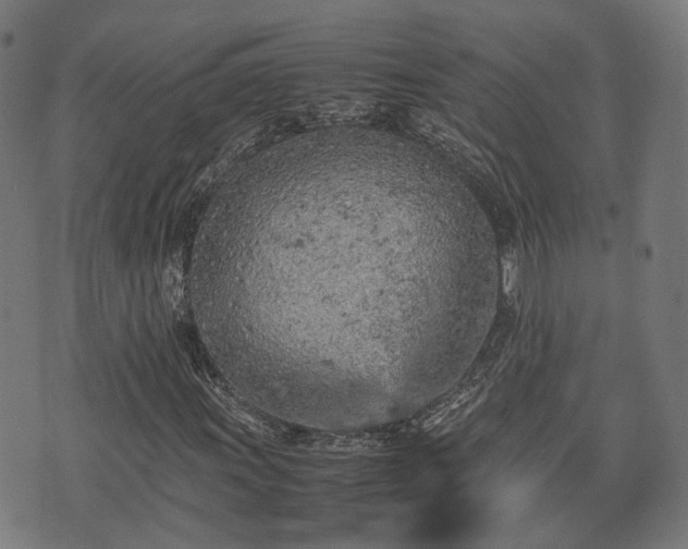 X0000074931011200609081320