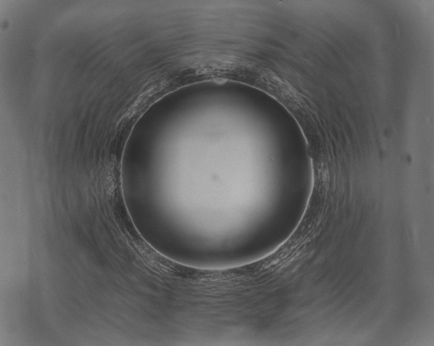 X0000074931012200609081320