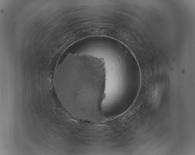 X0000074931013200609081320