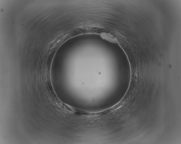 X0000074931014200609081320