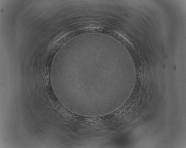 X0000074931015200609081320