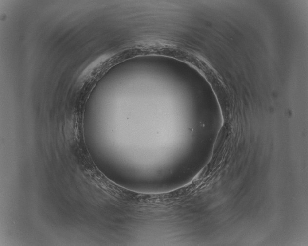 X0000074931016200609081320