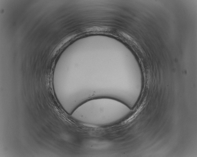 X0000074931017200609081320