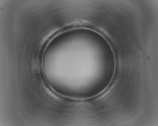 X0000074931018200609081320