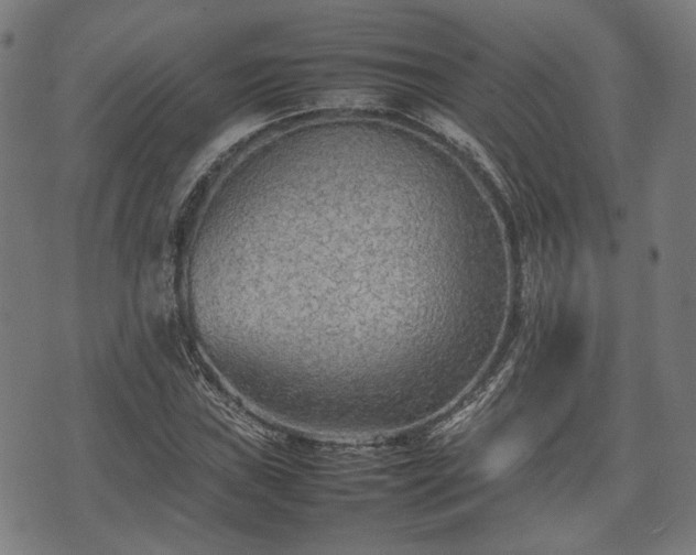 X0000074931019200609081320