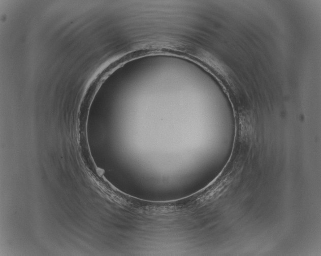 X0000074931020200609081320