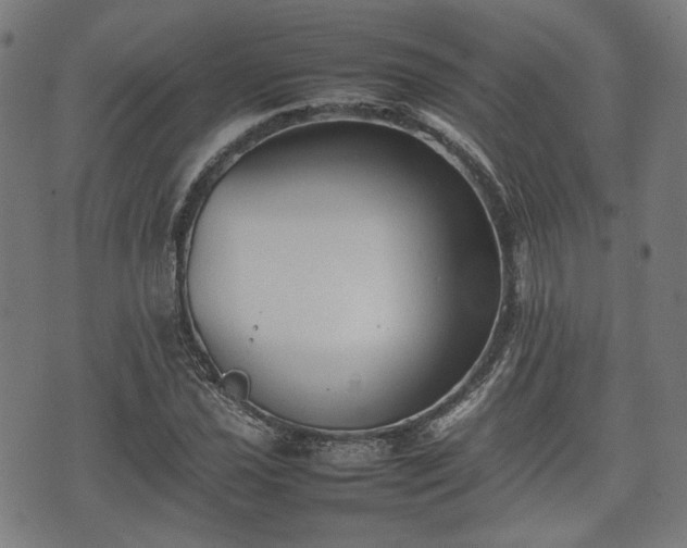 X0000074931021200609081320