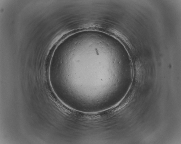 X0000074931023200609081320