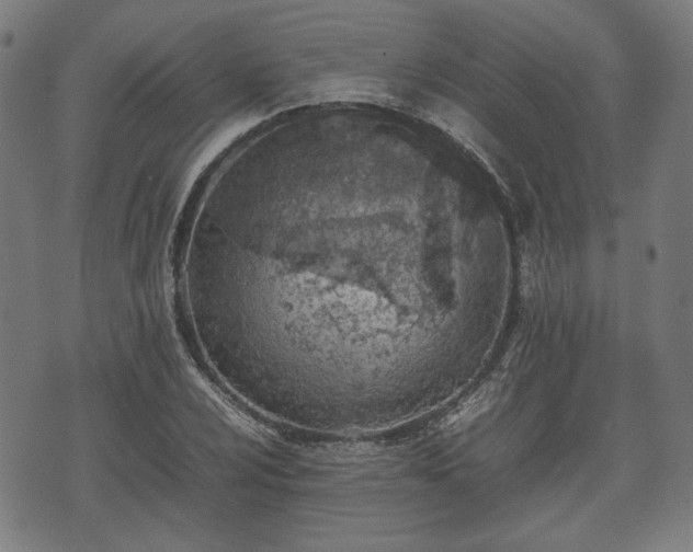 X0000074931024200609081320