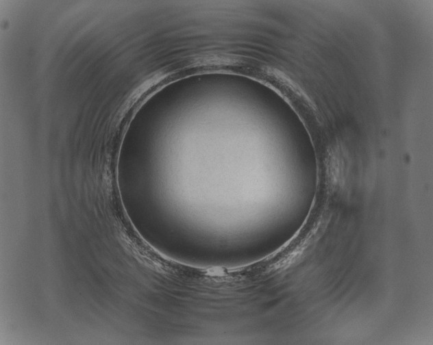 X0000074931025200609081320