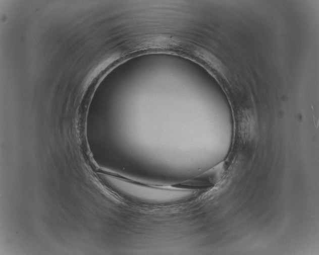 X0000074931026200609081320