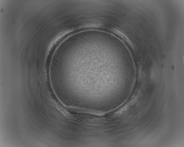 X0000074931027200609081320