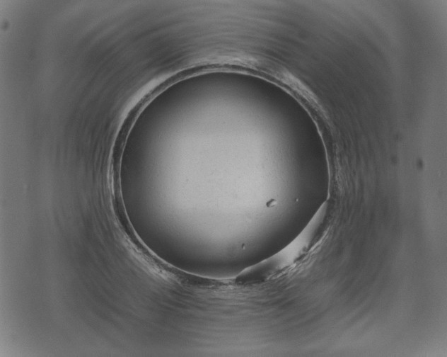 X0000074931028200609081320