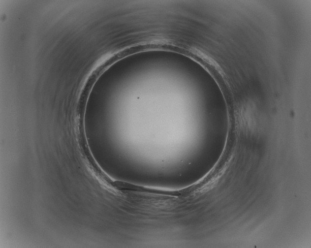 X0000074931029200609081320