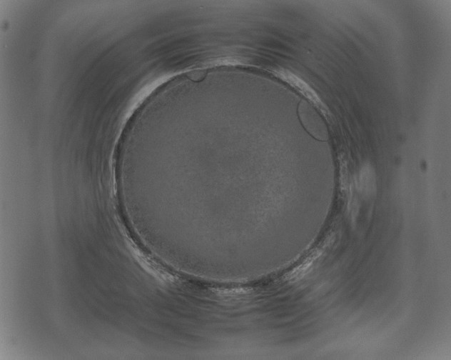 X0000074931031200609081320