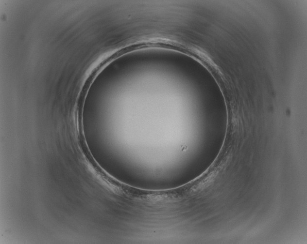 X0000074931032200609081321