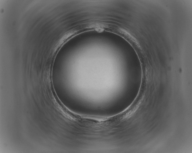 X0000074931033200609081321