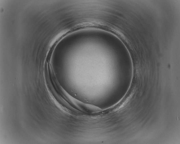 X0000074931034200609081321