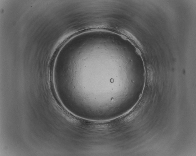 X0000074931035200609081321