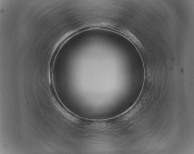 X0000074931036200609081321