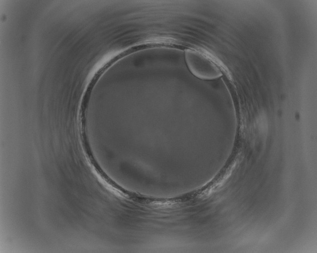 X0000074931037200609081321