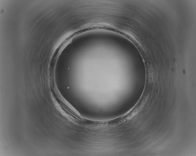 X0000074931038200609081321